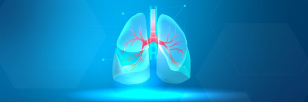 Una mirada holística al asma: alimentación, respiración y emociones.